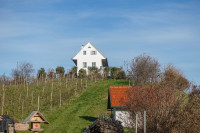 /album/kleeblattweg-3-leutschach-7-oktober-2024/leutschach-kleeblattweg-3-25-11-2024-8-jpg/